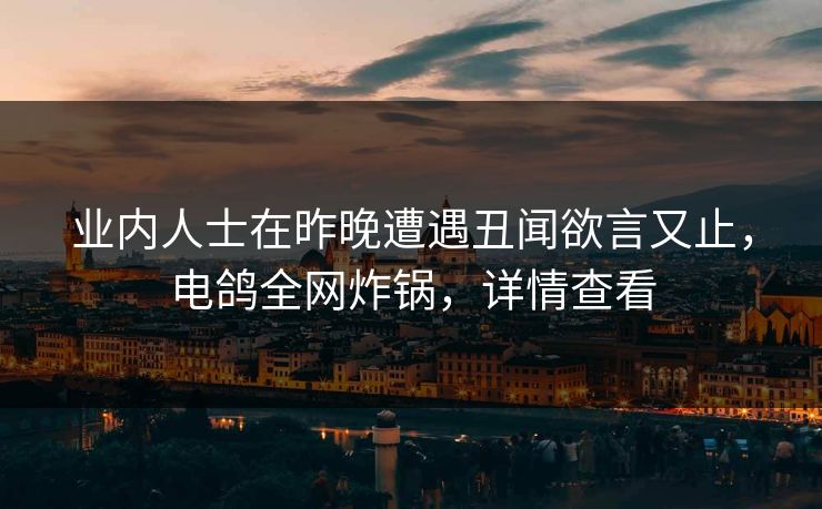业内人士在昨晚遭遇丑闻欲言又止，电鸽全网炸锅，详情查看