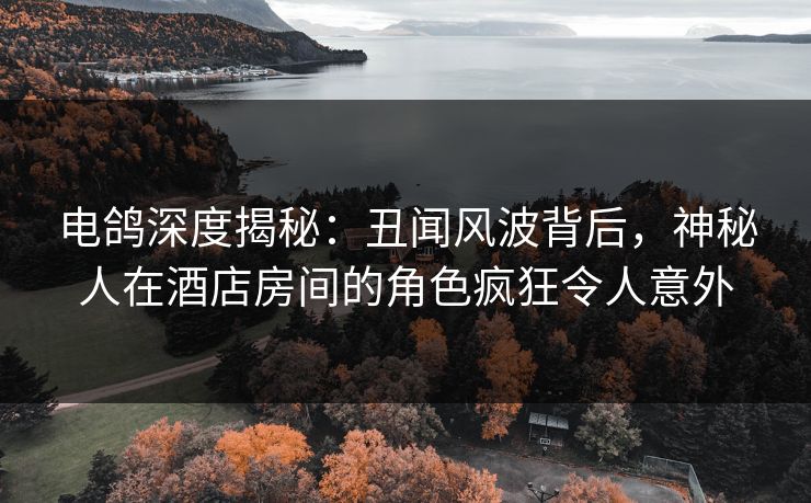 电鸽深度揭秘：丑闻风波背后，神秘人在酒店房间的角色疯狂令人意外