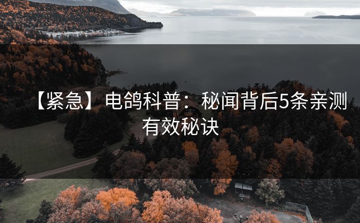 【紧急】电鸽科普：秘闻背后5条亲测有效秘诀