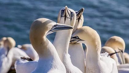 17c网站——带你看视频分享——网页版登录与缓存的关系终于理清