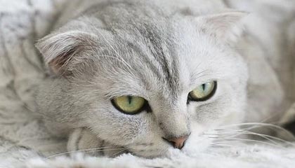 17cc最新入口原创视频推荐为什么忽然变让人无语究竟发生了什么？答案藏在页面改版