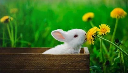 17c网站——带你看视频分享——网页版登录与缓存的关系终于理清