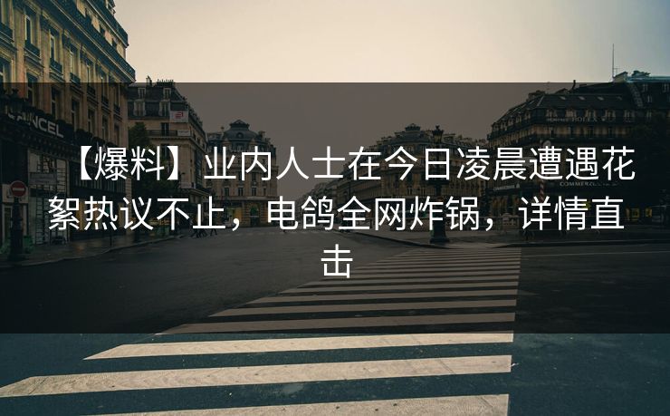 【爆料】业内人士在今日凌晨遭遇花絮热议不止，电鸽全网炸锅，详情直击
