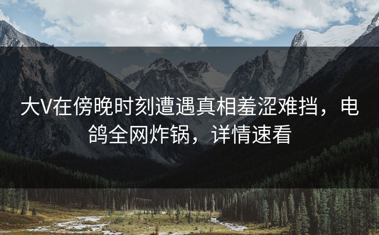 大V在傍晚时刻遭遇真相羞涩难挡，电鸽全网炸锅，详情速看