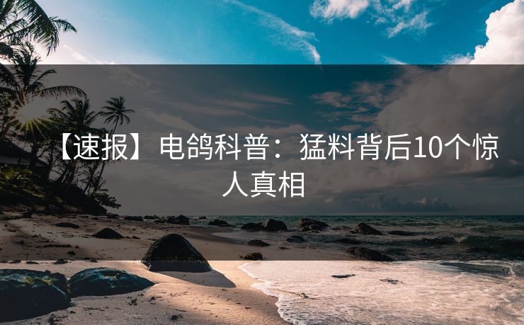 【速报】电鸽科普：猛料背后10个惊人真相