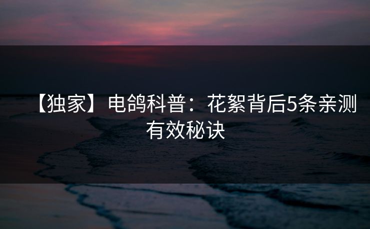 【独家】电鸽科普：花絮背后5条亲测有效秘诀