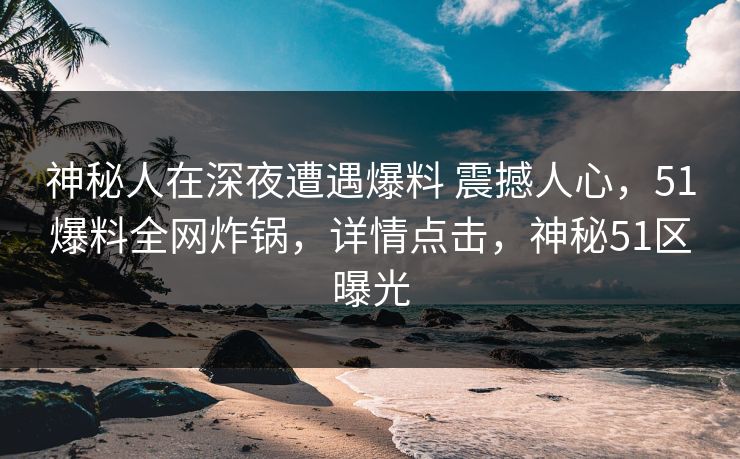 神秘人在深夜遭遇爆料 震撼人心，51爆料全网炸锅，详情点击，神秘51区曝光